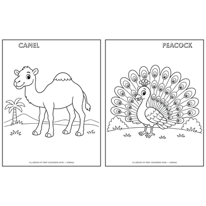 My First Colouring Book – Animals